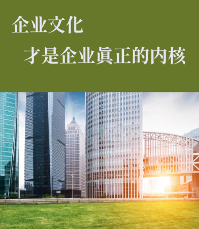 日照酸枣汁与荔枝醋饮品贴牌代加工工艺及参数对比分析